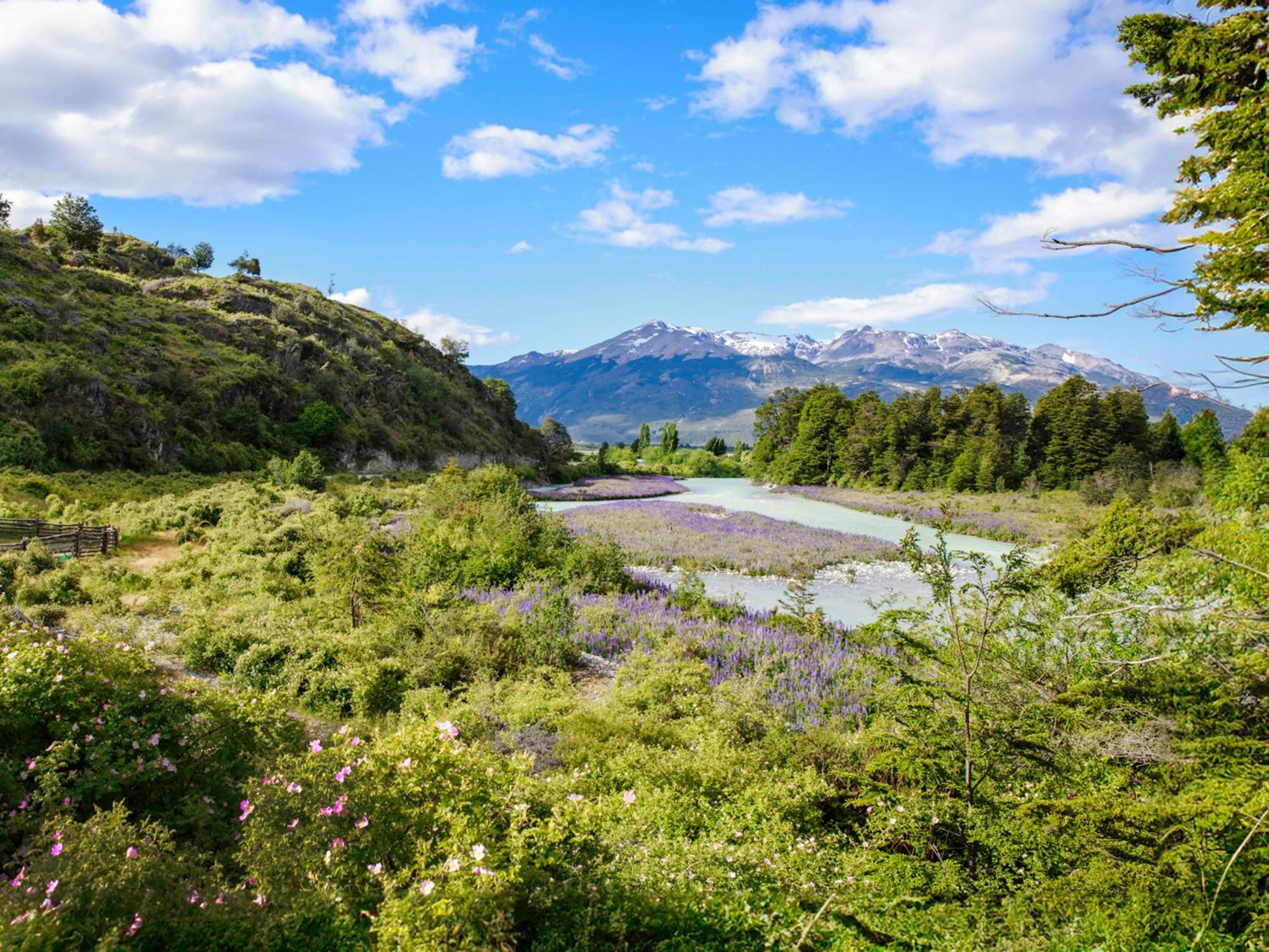 Loberias Del Sur Hotel Puerto Chacabuco Eksteriør billede